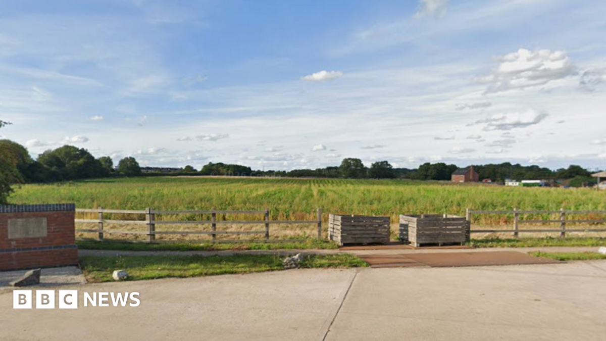 Plan for 230-home housing estate on village edge near Lichfield