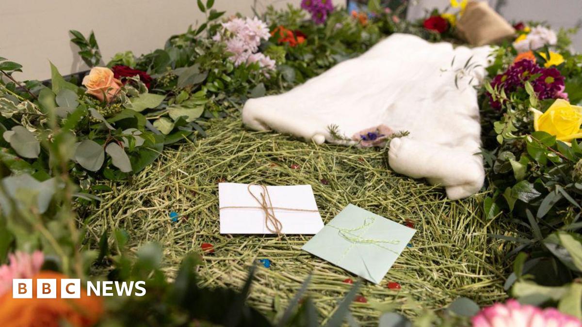 bbc.co.uk - George Herd - TV's Kristoffer Hughes hopes to offer UK's first human body composting service