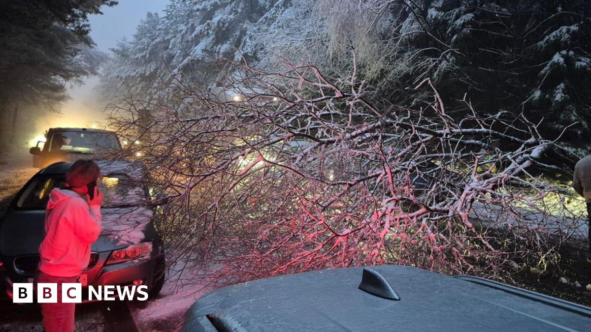 Snow in Devon and Cornwall causes severe delays