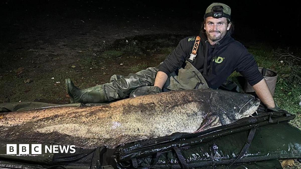 Essex angler’s record catfish catch is confirmed