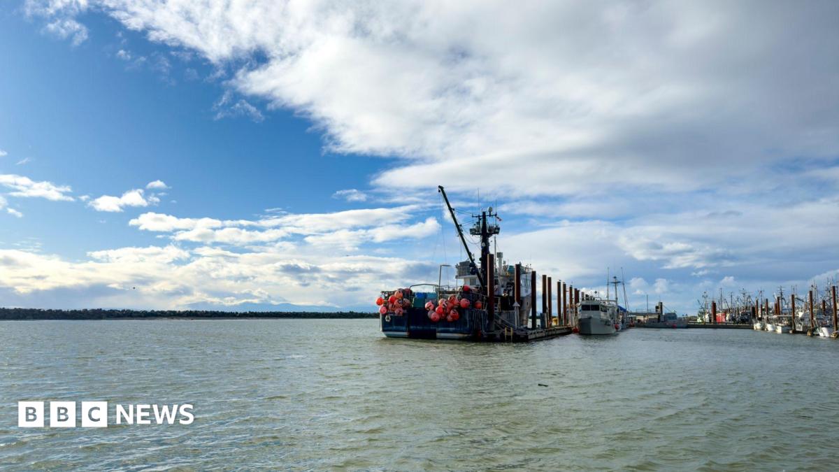 Search suspended for six missing after charter boat sinks near Vancouver