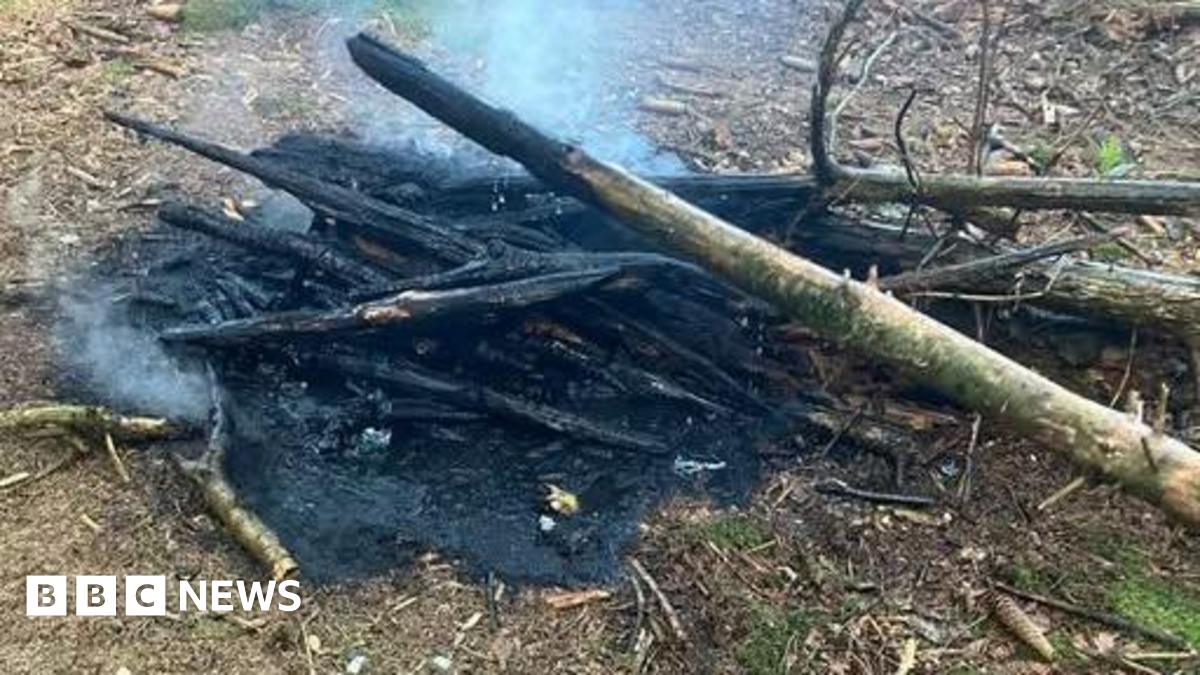 'Danger' warning after campfires found in Dalby Forest