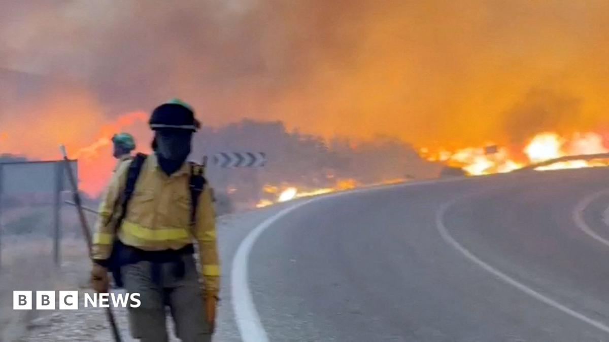At least 11 dead and 19 missing in wildfire in southern Spain