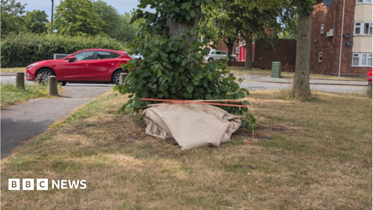 Wolverhampton fly tipper fined for dumping carpet out flat window