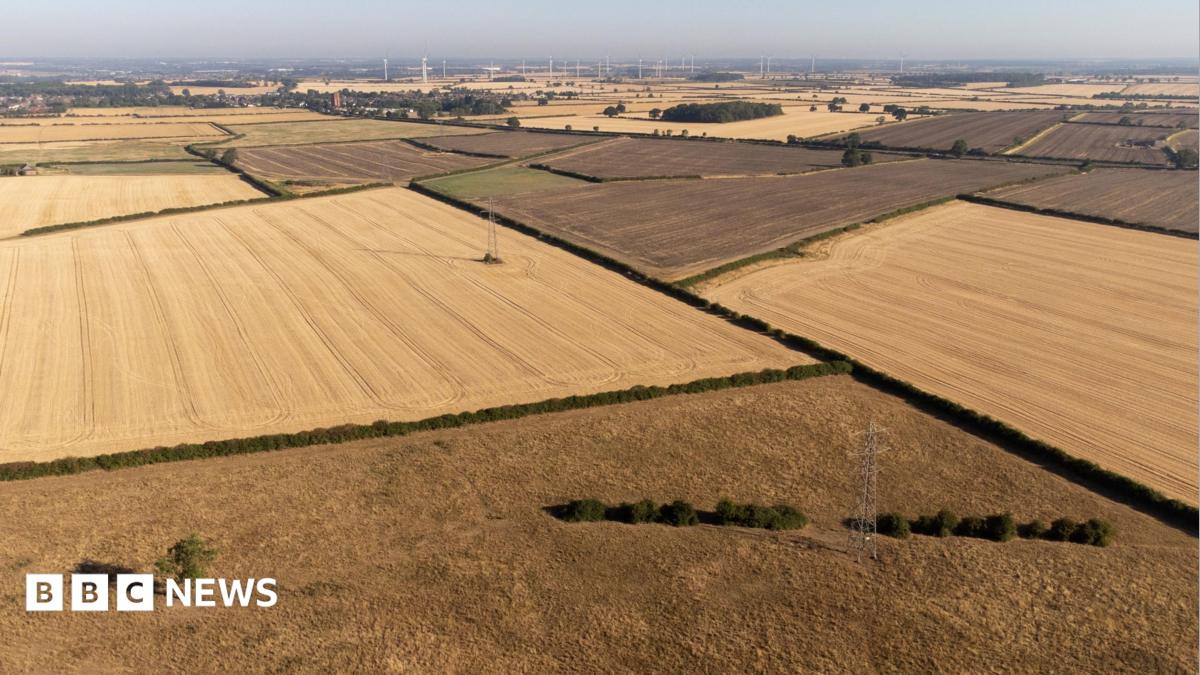 Continued drought could cause shortage of certain foods, head of farmers' union says