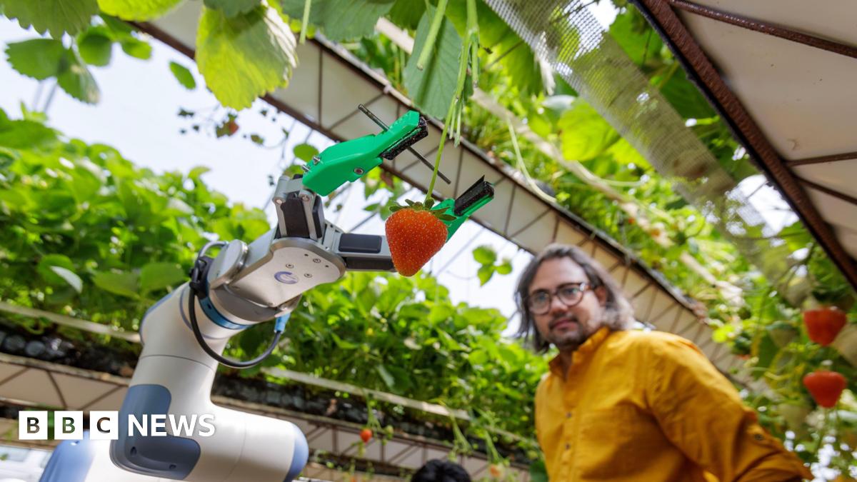 bbc.co.uk - Henry Godfrey-Evans - University of Essex's fruit-picking robot wins national award