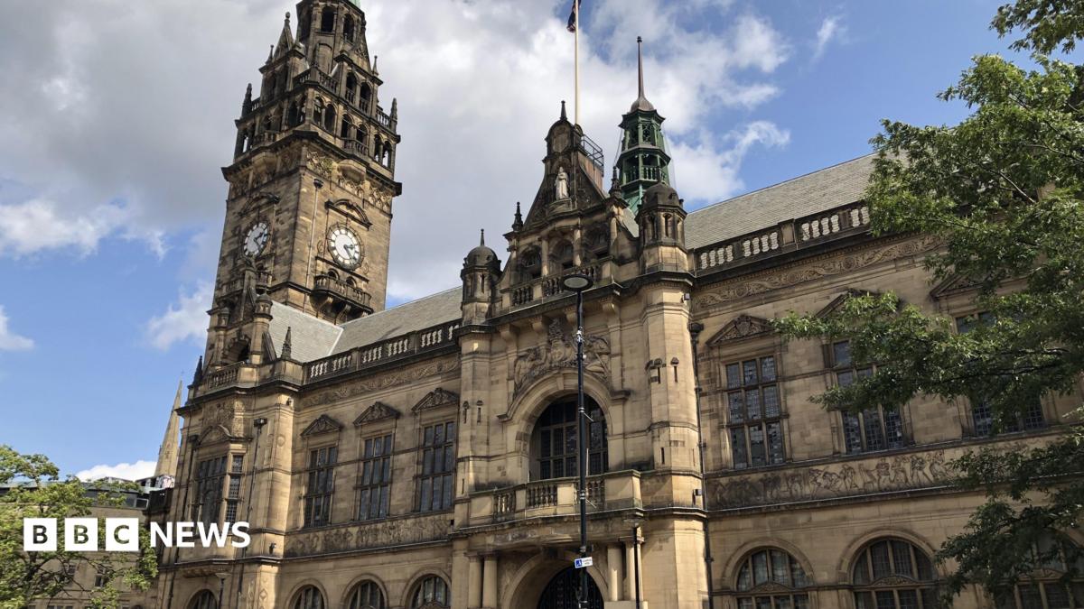 bbc.co.uk - Lucy Ashton - Sheffield City Council finances 'fragile' due to social care bill