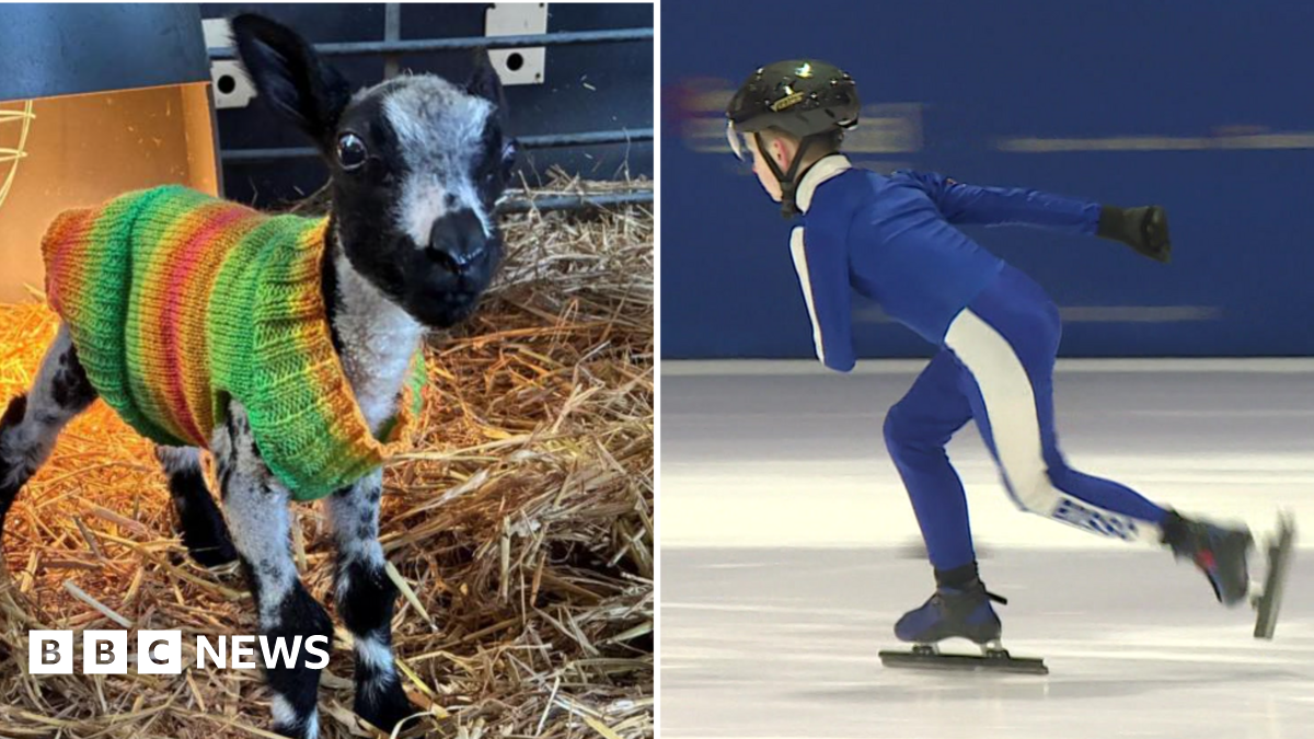 bbc.co.uk - Grace Wood - Positive news from Yorkshire to make you smile - 8 February 2026