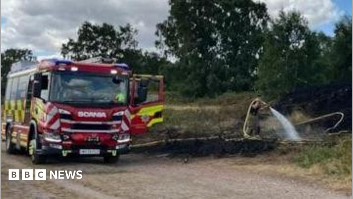 Cannock Chase road shut after adders and toads killed in fire