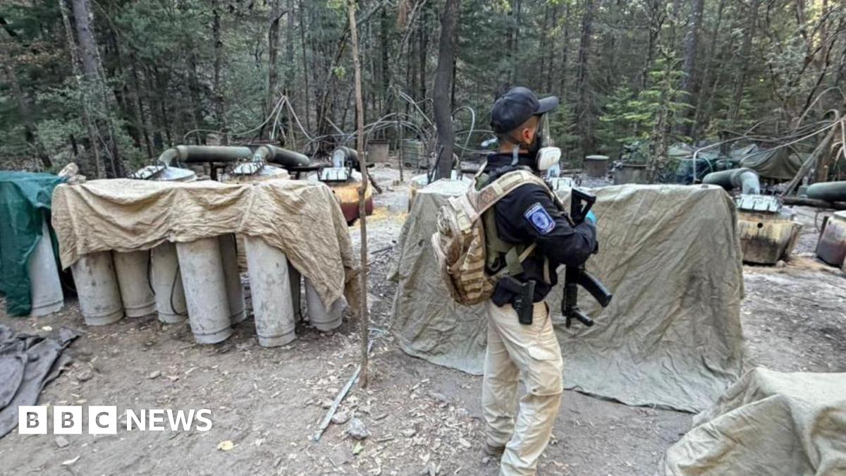 Mexico States US Agents Killed in Crash Lacked Operational Authorization