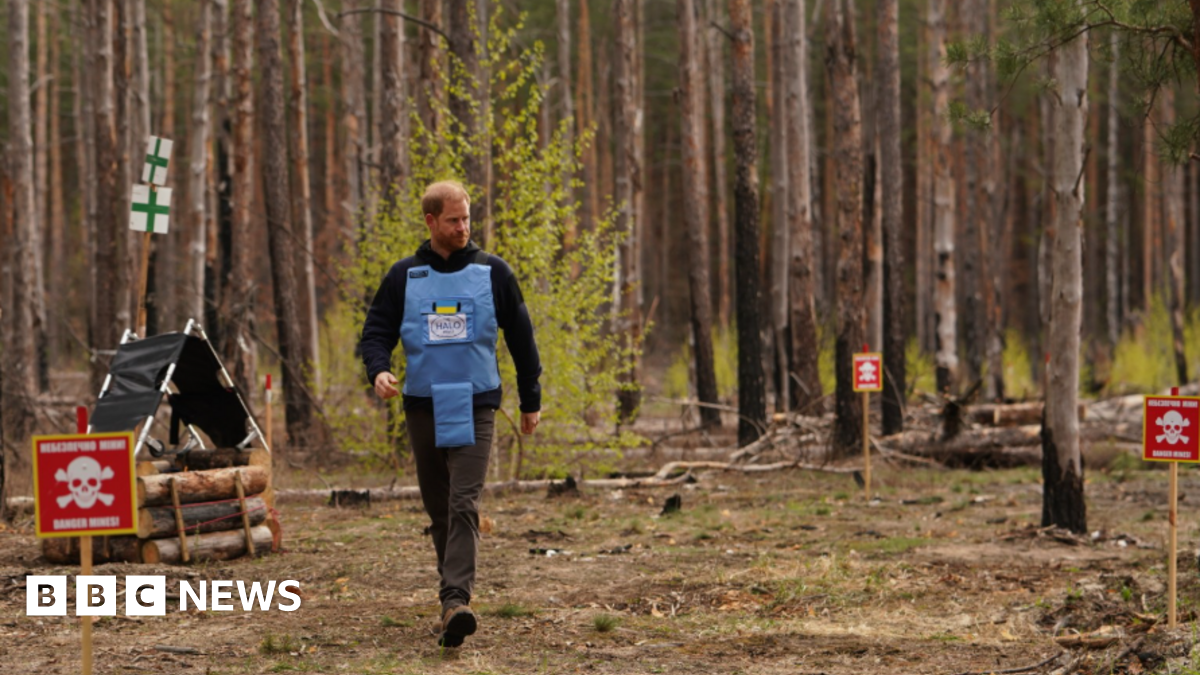 Donald Trump says he speaks 'for the UK more than Prince Harry'