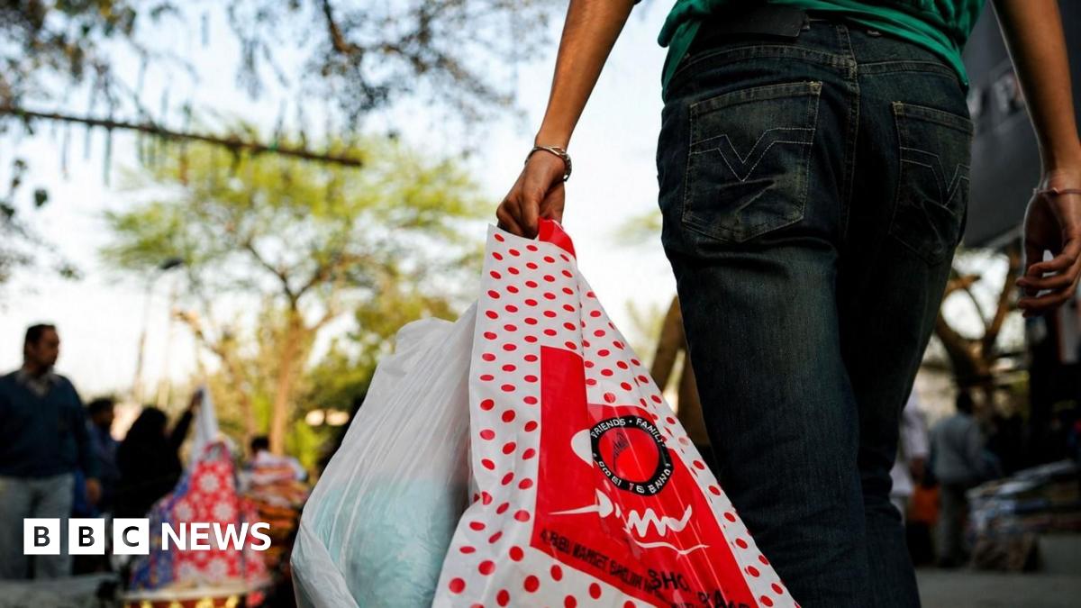 CarryMen: India start-up offering shopping bag carriers sparks debate on entitlement