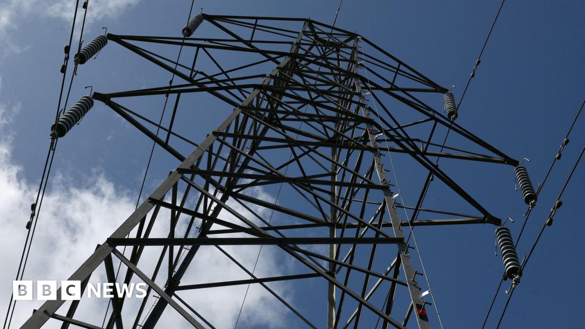 Protesters to fight cross-border giant pylon plans - BBC News