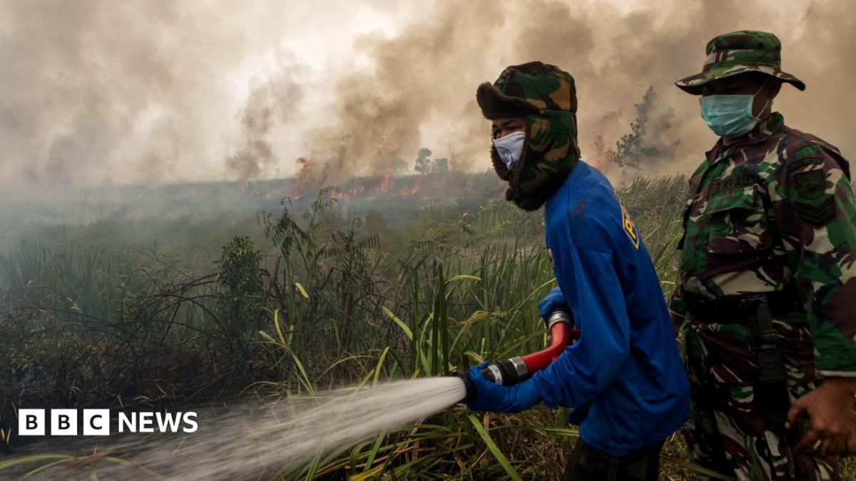 What is El Niño and why could it mean record temperatures?