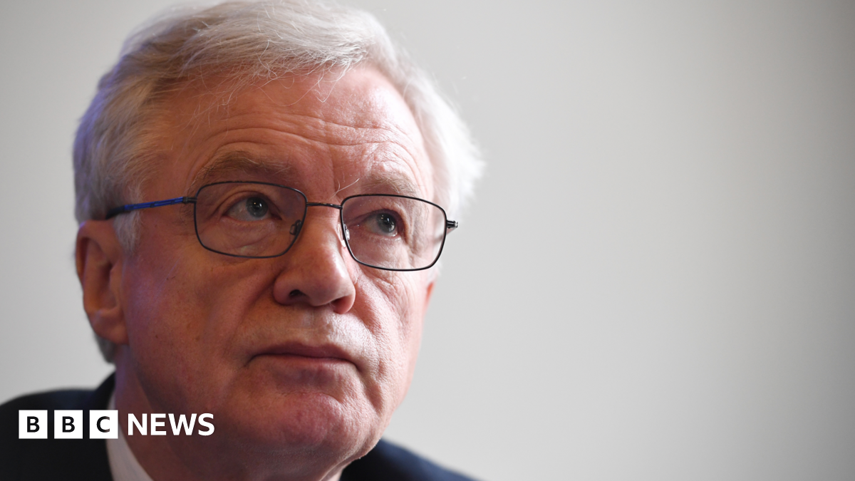 MP Sir David Davis’s website shut down in suspected cyber attack