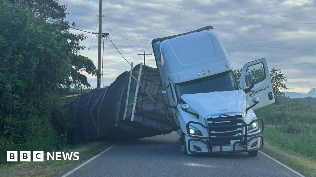 Washington: 250 million honeybees escape overturned truck in US