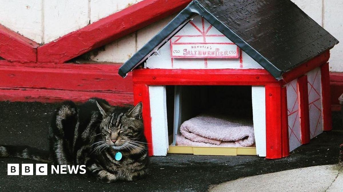 Hendrix sleeping with his toes curled up next to a miniature version of the Saltburn Pier Amusements building. It is a tiny read and white pier cat house with a black roof and a writing above the entrance saying Hendrix's Saltburn Pier. There is pink t...