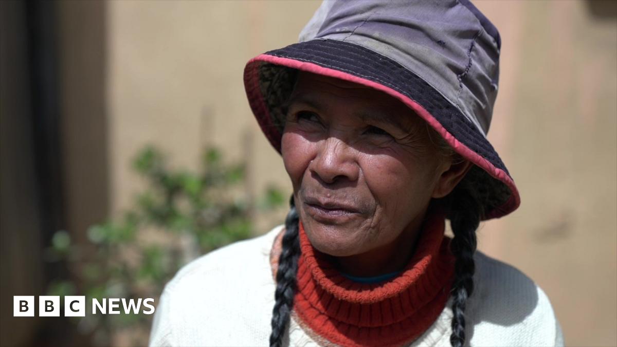 Madagascar highway: New motorway plan raises development dilemma