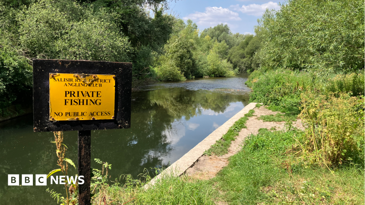Wiltshire game fishing ban after fears for fish stocks
