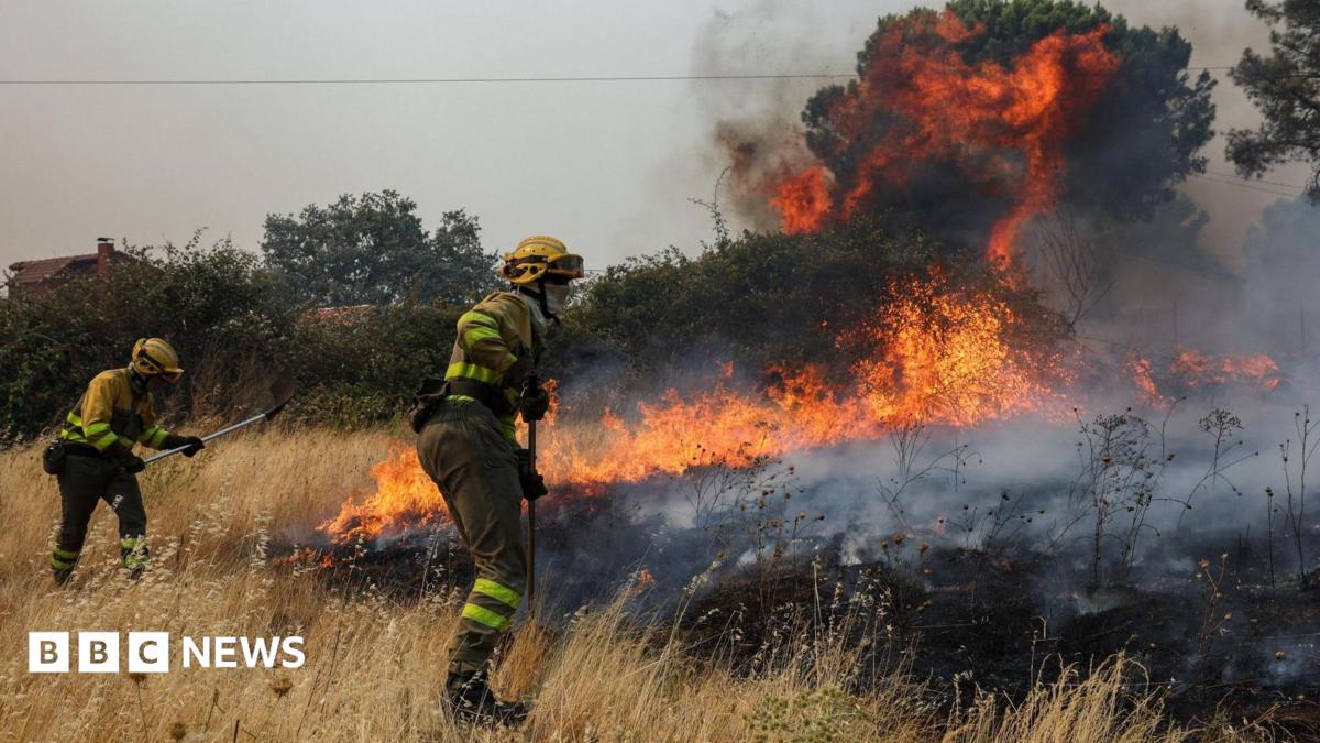 Spain has declared a national emergency, with regional chief Carlos Novillo warning the fires are moving towards the Spanish capital's western outskirts.