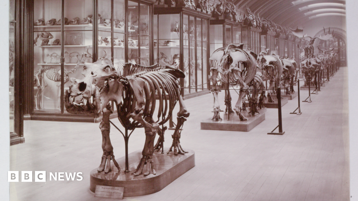 Hidden gallery to reopen to the public after 83 years
