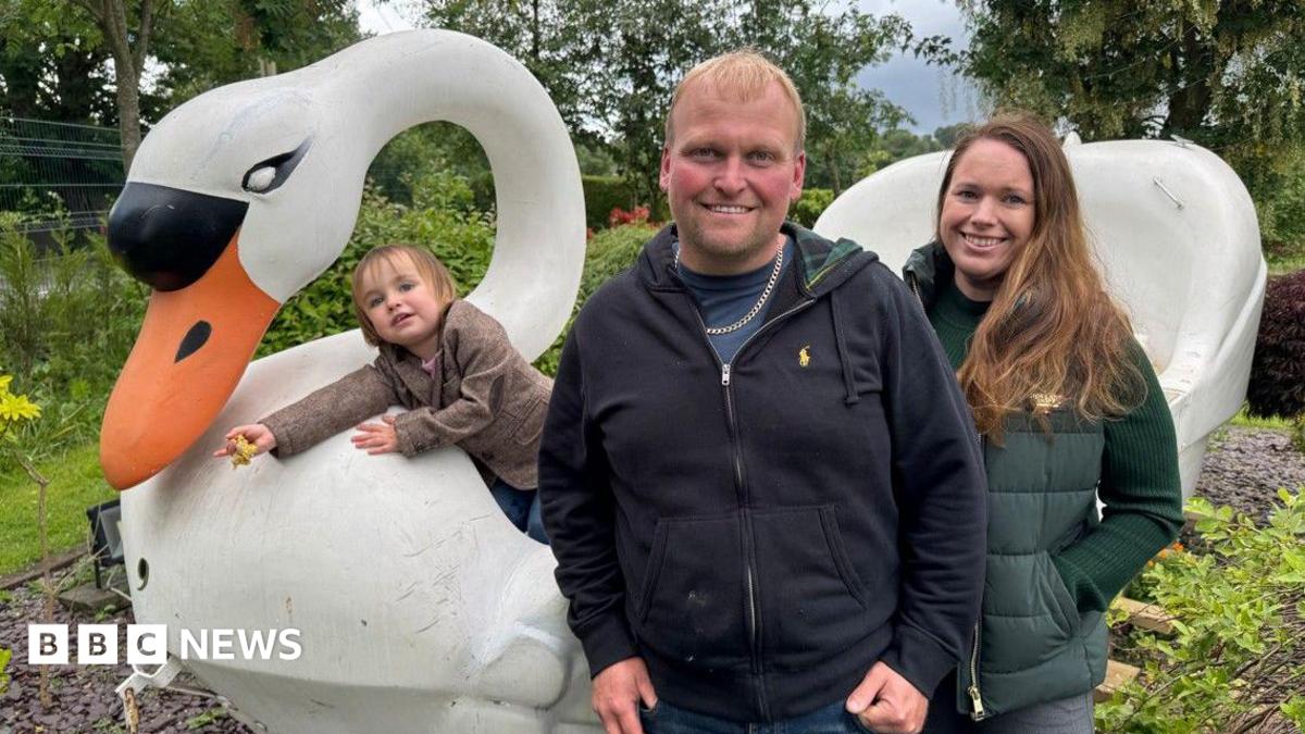 'How I hunted down an Alton Towers swan boat for my home'