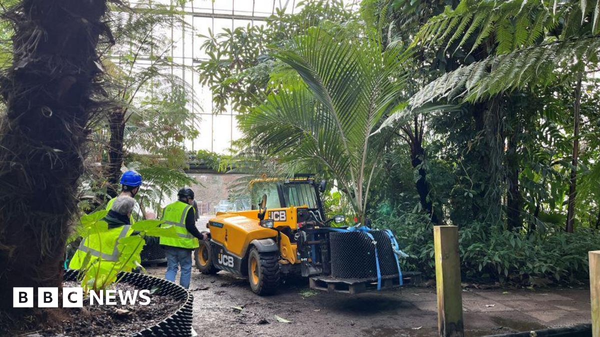 Replanting the urban jungle in restored Edinburgh Botanic's hot houses