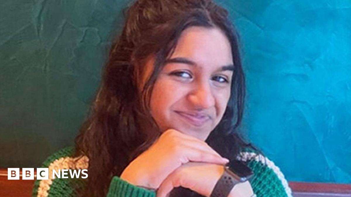 
                            Driver jailed for killing Aalia Mahomed in van crash on Strand