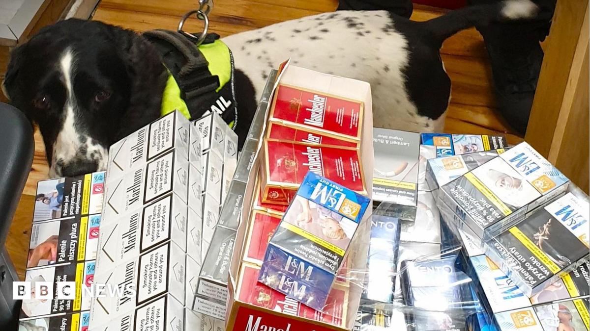 Illegal tobacco and vapes worth 200k seized in Bournemouth raids - BBC News