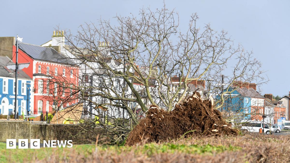 Clear-up continues after Storm Éowyn batters NI