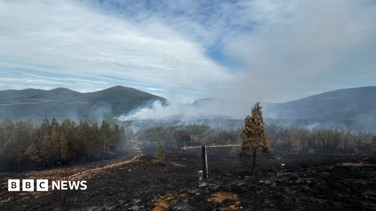 Cairngorms fire flares up again as public urged away