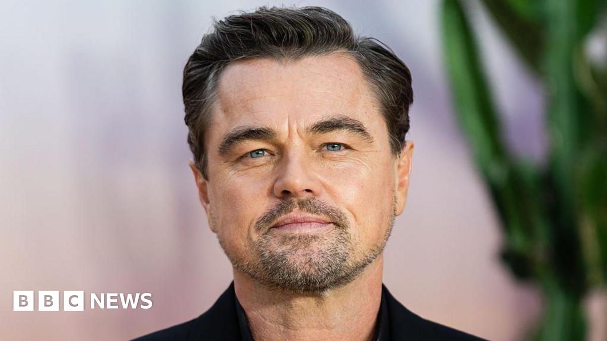 Leonardo DiCaprio on why his new film addresses 'divisiveness in our culture'