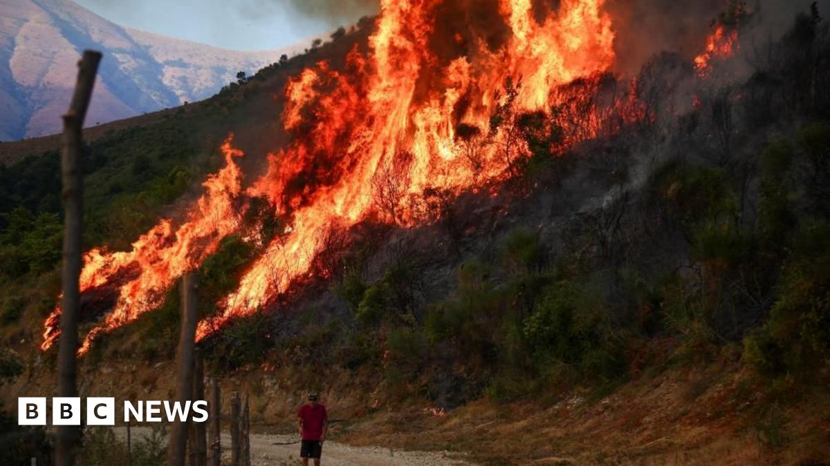 Greece on Alert: Intense Wildfires Sparked by Sweltering Heatwave Force Mass Evacuations