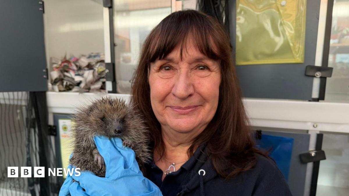 East Yorkshire charity urges people to check for hedgehogs