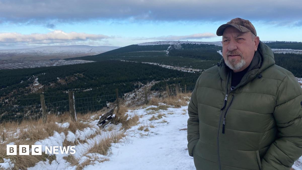 Timber stuck rotting in remote Northumberland forest