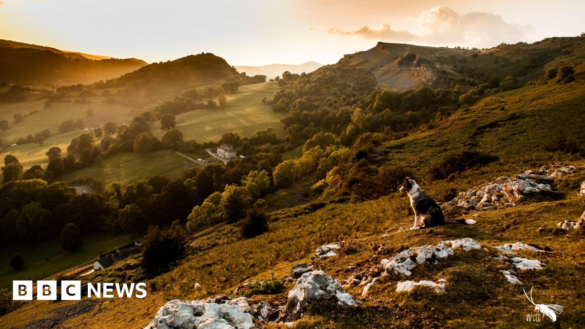 bbc.co.uk - Steffan Messenger - Plans for UK's newest national park head to public enquiry