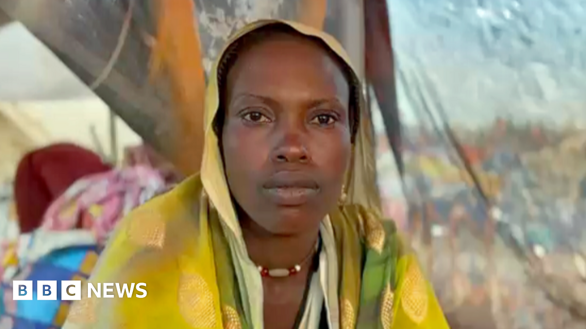 Sudan's civil war: 'I fled Zamzam camp with child in my arms and luggage on my head'