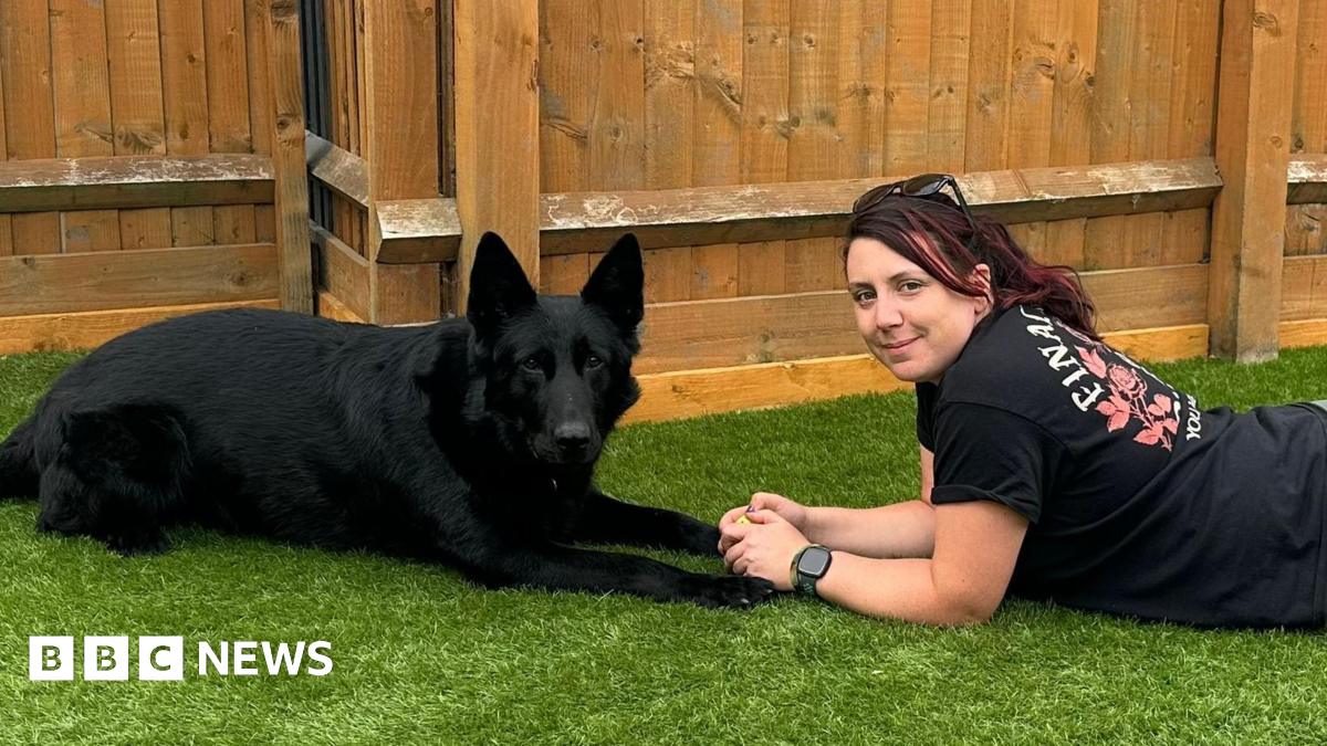 
                            'My retired hero police dog deserves a pension'