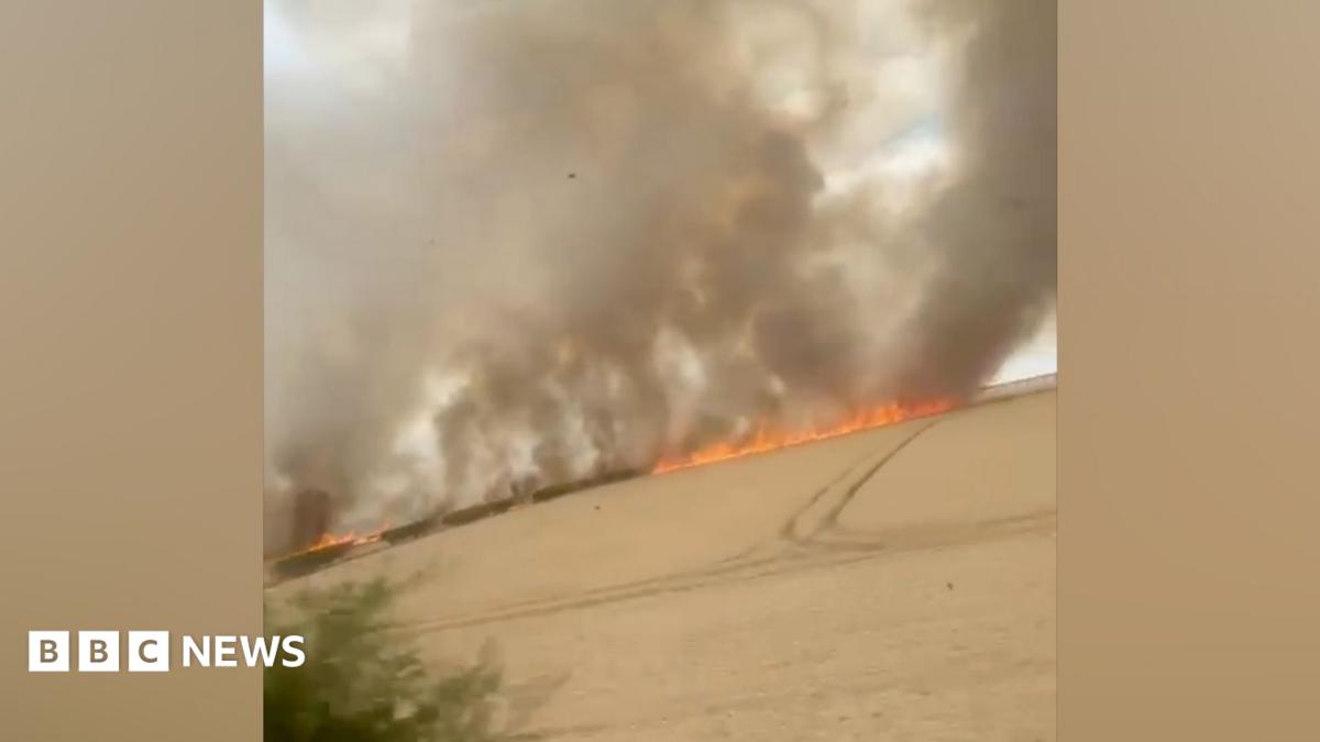 bbc.co.uk - Julia Bryson - Filey farm owners 'overwhelmed' by help during field fire