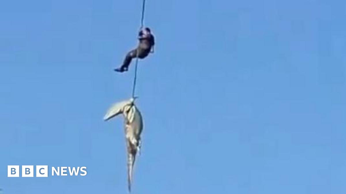 South African police officer lowered into crocodile-infested river to recover human remains