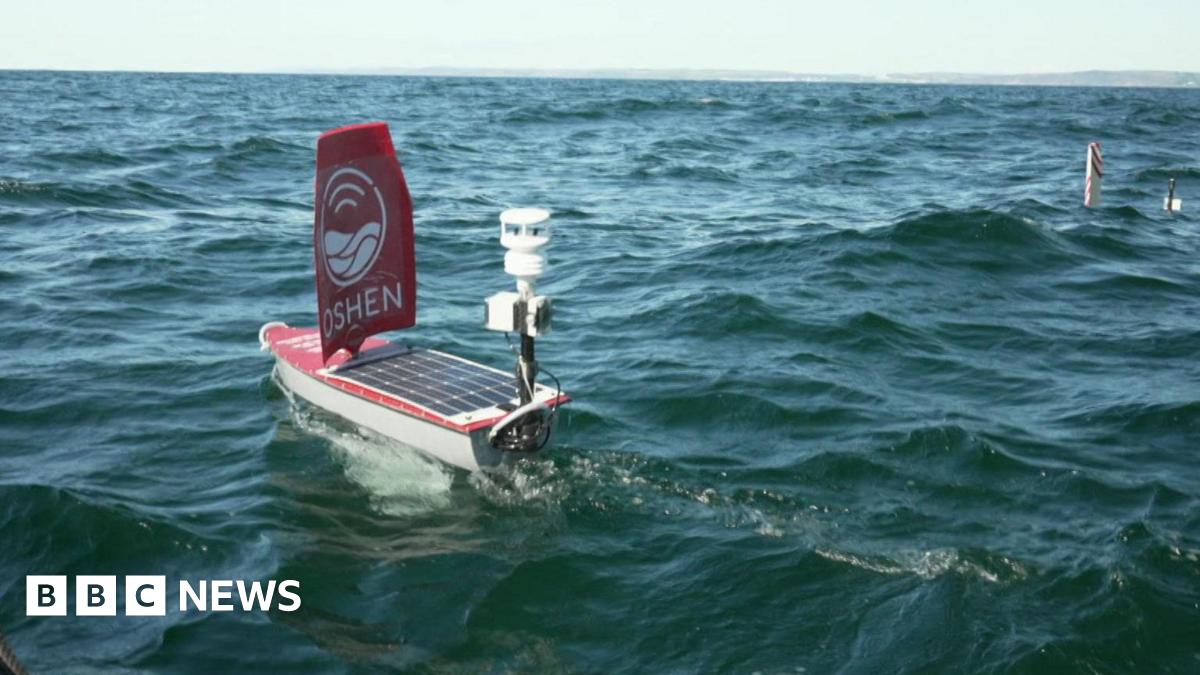 Plymouth Start-Up's Robotic Sailboats Deployed in Caribbean Hurricane Alley for Data Collection