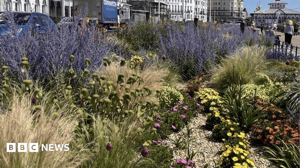 Eastbourne's 'contentious' flower beds could save council £750,000