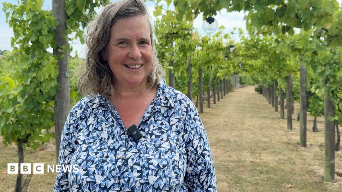 bbc.co.uk - Hannah Roe - Kent named 'wine hotspot' as harvests defy European downturn