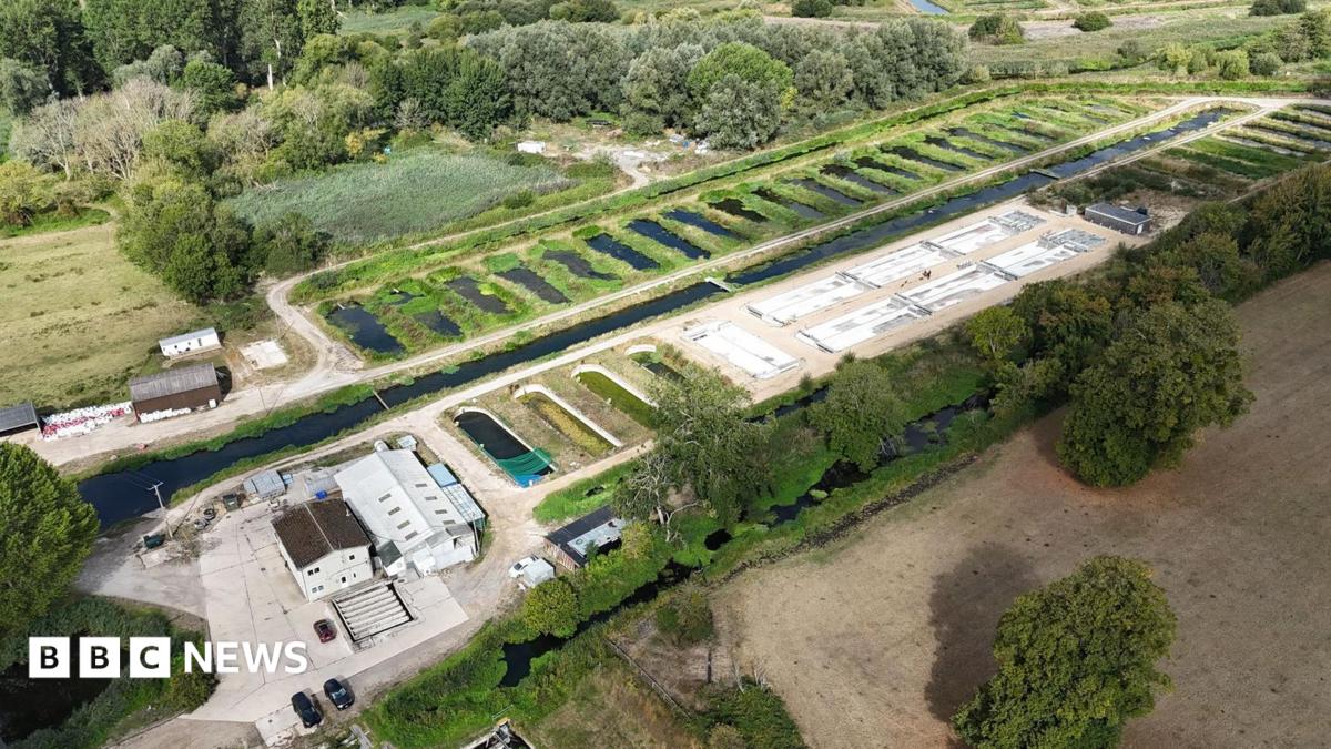 bbc.co.uk - Legal challenge threatens future of Salisbury inland salmon farm
