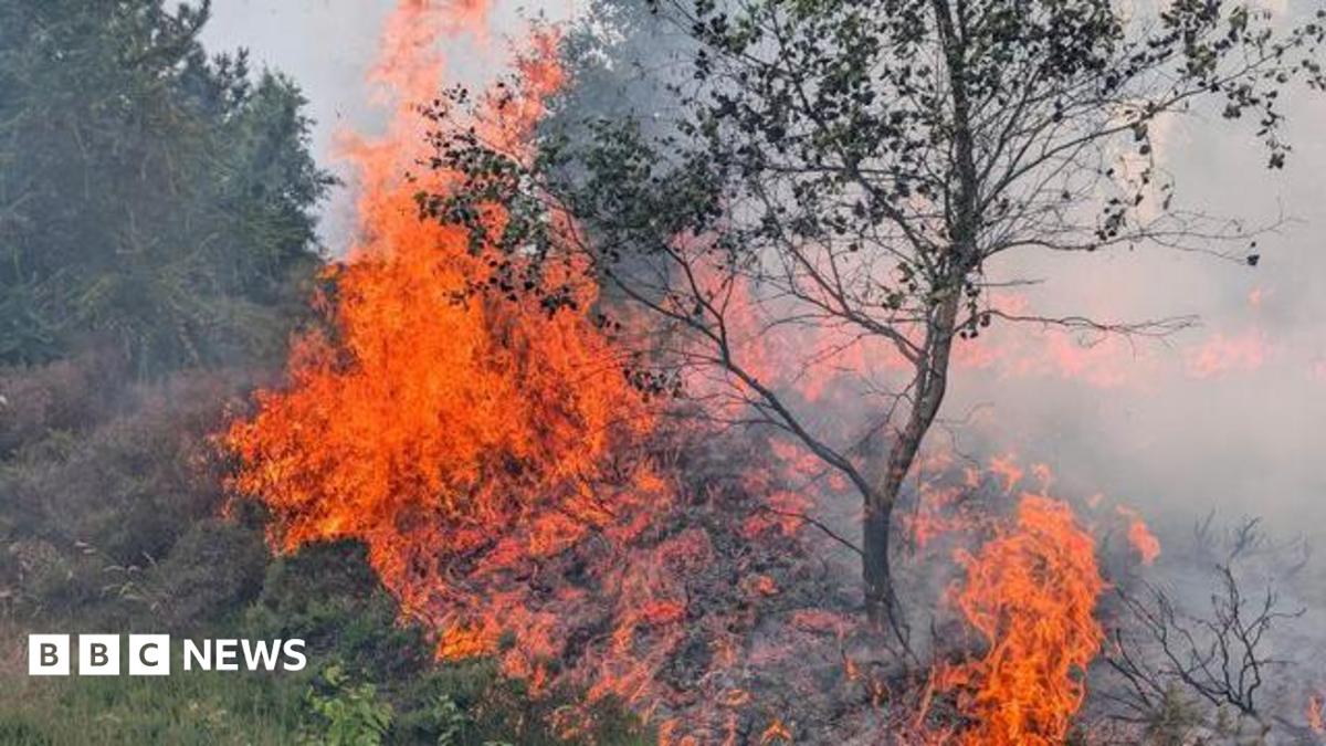 Warning after moorland fire near Captain Cook monument