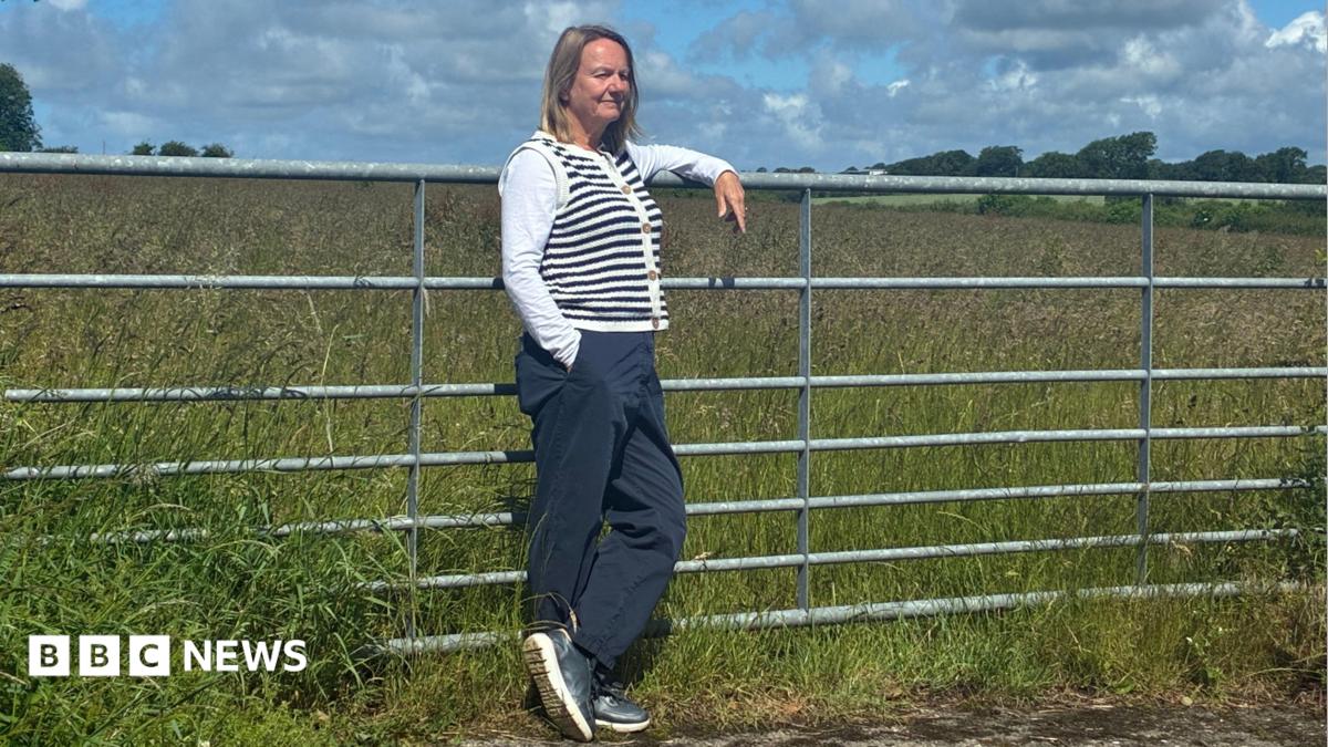 Villagers take fight against Lidl store plans to Welsh government