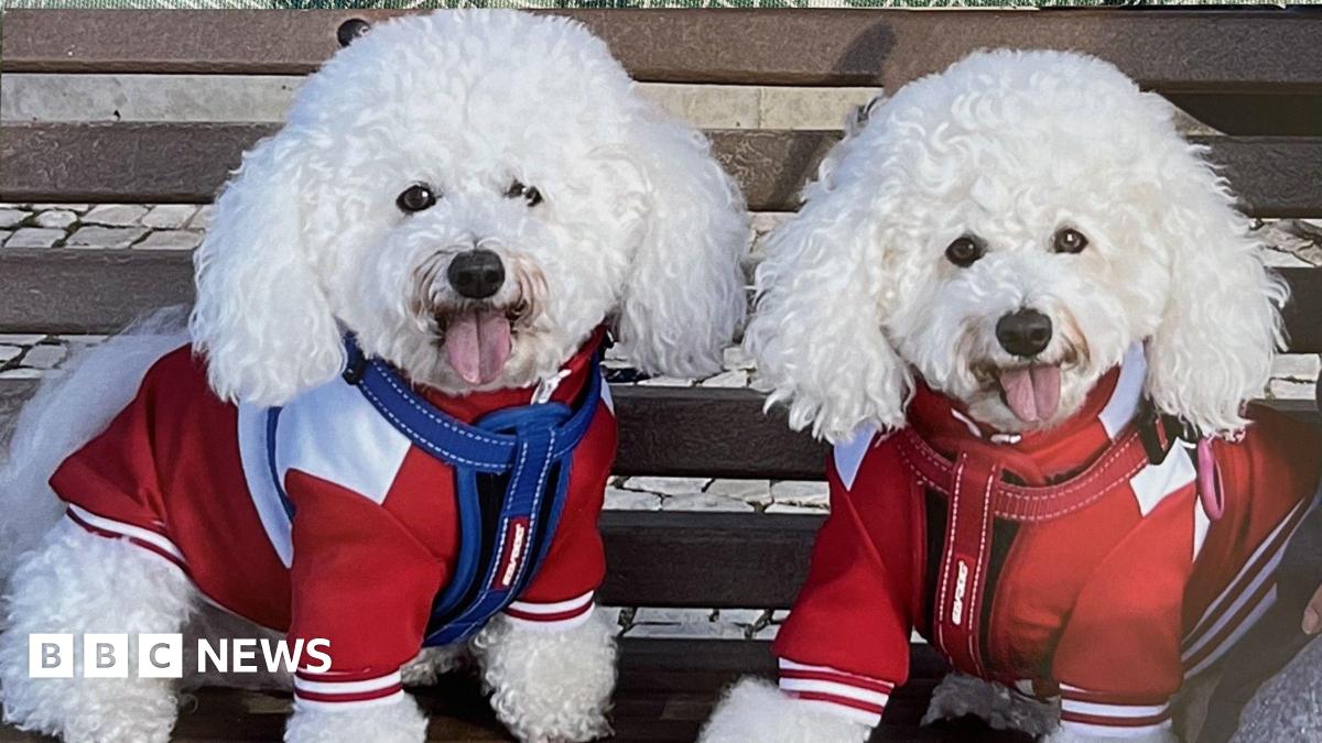 Pet owners hit with steep bills after EU passport rule change