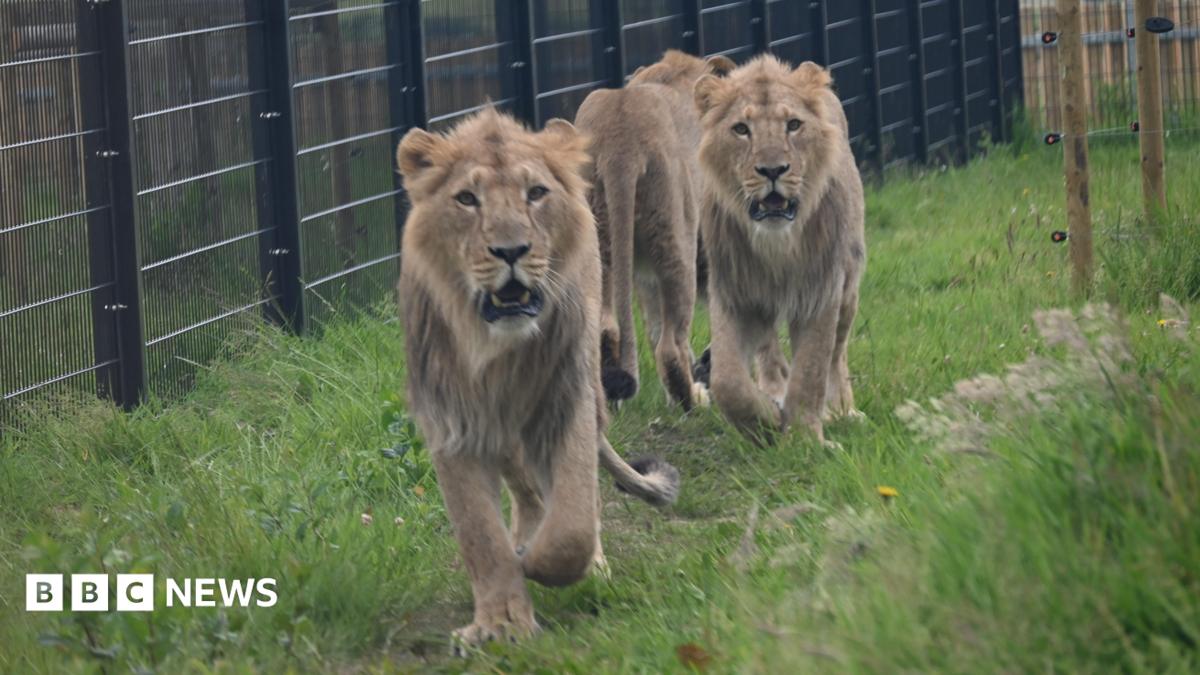 Wingham Wildlife Park expansion to be unveiled