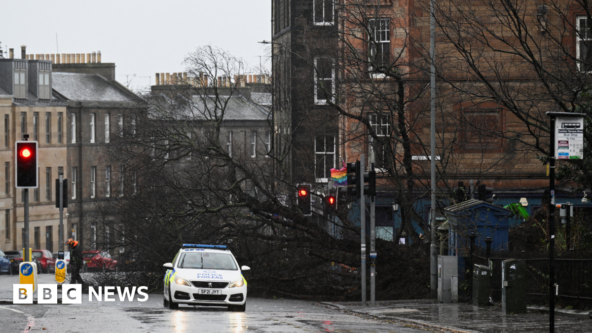 Edinburgh street where tree has blown down 