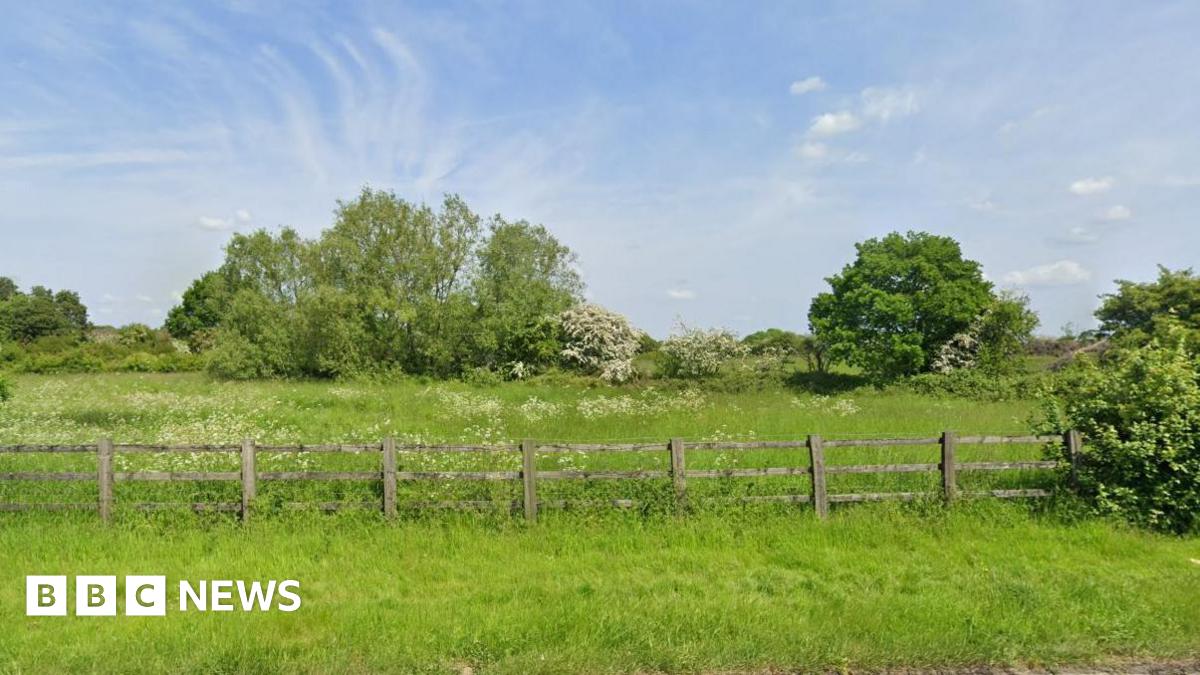 bbc.co.uk - Peter Davison - Trowbridge houses rejected over nearby bat colony